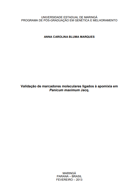 there is no image